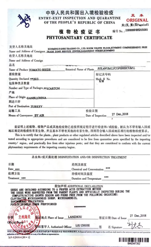 Multi Fruits High Yield Hybrid Cucumber Seeds for Growing