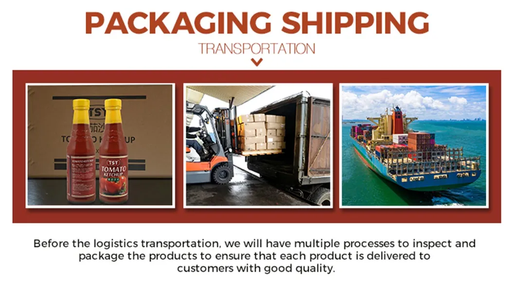 Factory OEM ODM Chinese Halal Organic Bouteille Sachet Bottle Concentrated Drum Cooking Canned Paste Jam Ketchup Tomato Sauce