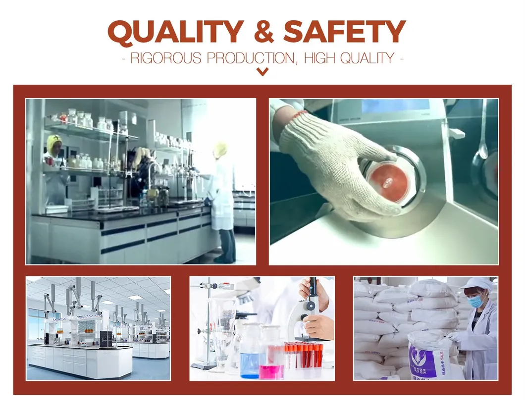 Factory OEM ODM Chinese Halal Organic Bouteille Sachet Bottle Concentrated Drum Cooking Canned Paste Jam Ketchup Tomato Sauce