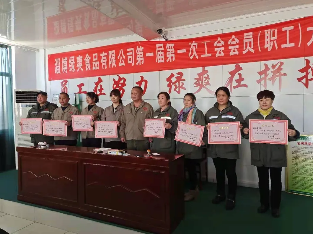 Soup Noodles 8020 Shirataki Noodles Nodels Korean Noodles Electric Instant Udon Konjak Noodle