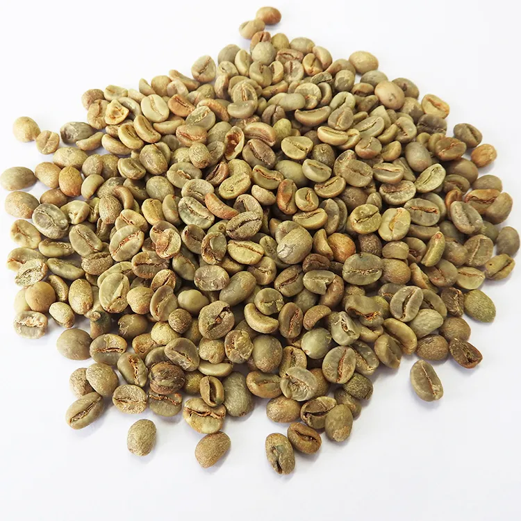 Cheap Price High Quality of Yunnan Arabica Green Coffee Bean
