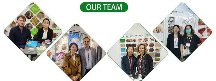 Cheap Price High Quality of Yunnan Arabica Green Coffee Bean