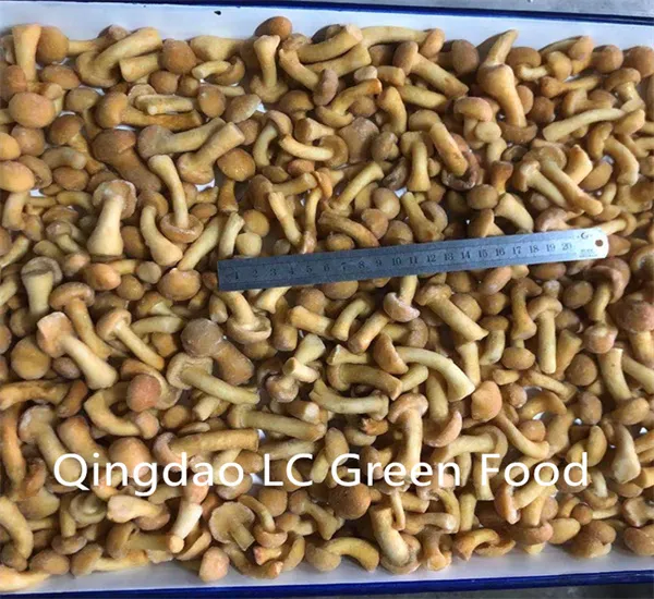 Top Quality Frozen Whole Nameko Mushroom for Sale