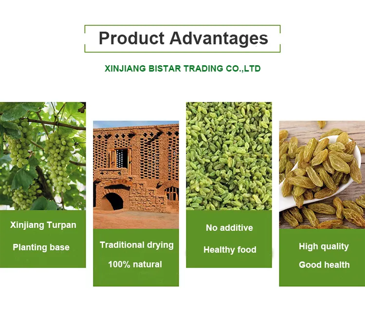 Healthy Dried Fruits Chinese Dried Grapes 90% Green Raisin