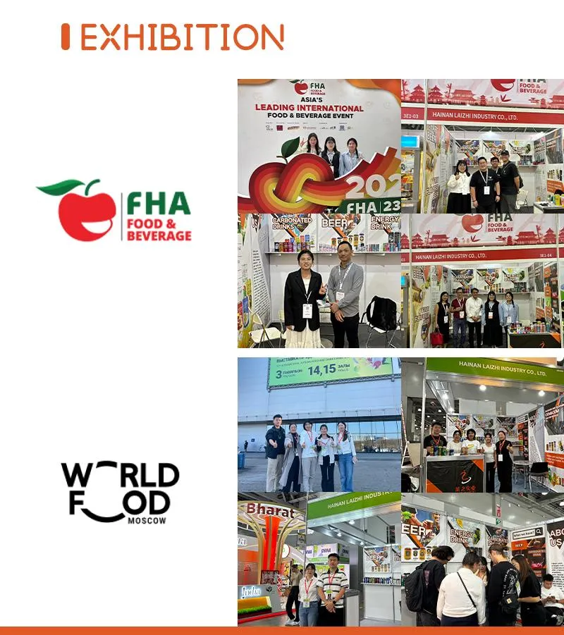 330ml World Cup Beer Cans Team Colors