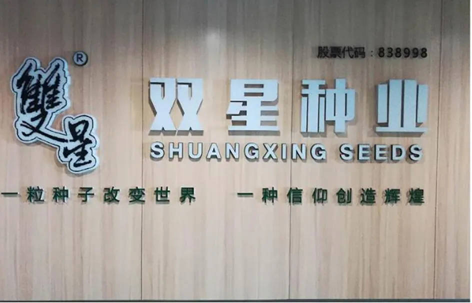 Jade No. 3 Early Mature Smooth Green Skin Squash Seeds