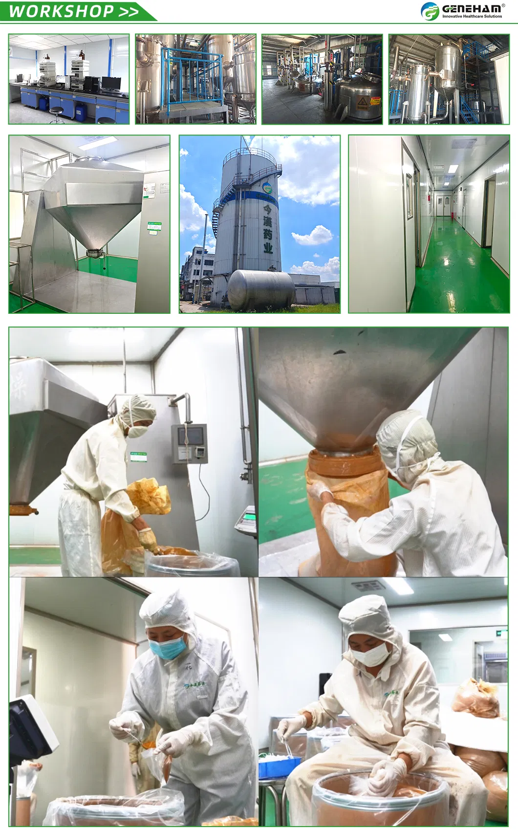 Premium Customized 1% Dnj Mulberry Leaf Extract Powder - Halal Certified