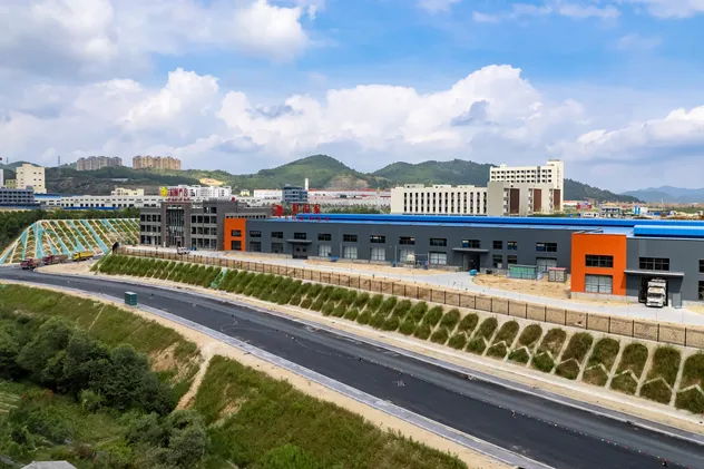 Organic White Fungus Beverage for Enhanced Health and Energy