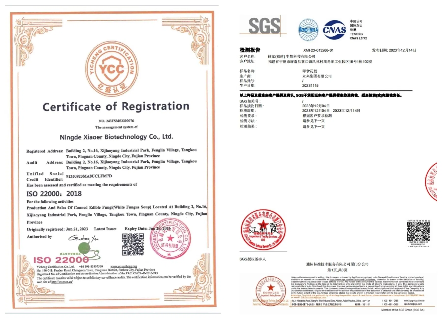 Organic White Fungus Beverage for Enhanced Health and Energy