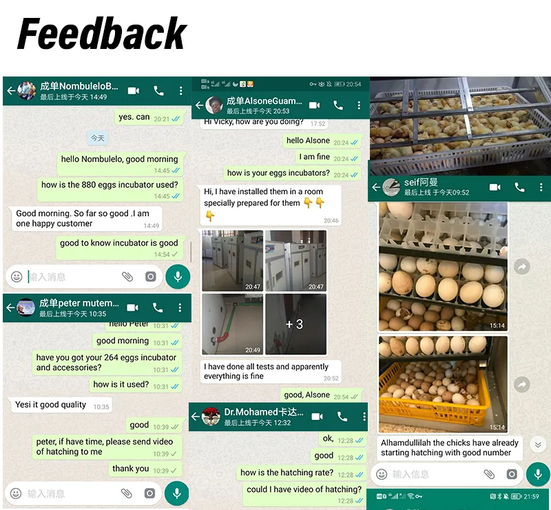 Cheap Large Walk in Chicken Run Coop and Chicken Cage Hen Houses