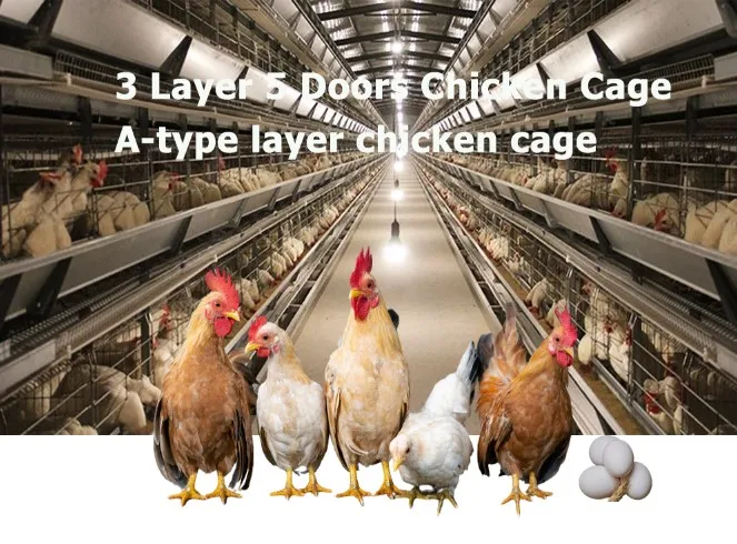 Cheap Large Walk in Chicken Run Coop and Chicken Cage Hen Houses