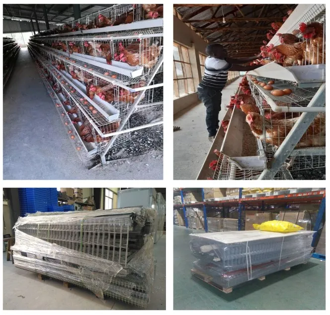 Cheap Large Walk in Chicken Run Coop and Chicken Cage Hen Houses