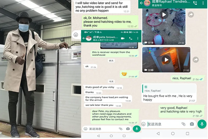 Cheap Large Walk in Chicken Run Coop and Chicken Cage Hen Houses