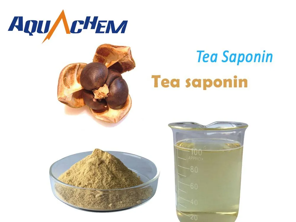 Natural Compounds Tea Saponins 70% with High Protein Content Ideal for Aquaculture Industry to Increase Disease Resistance of Shrimps