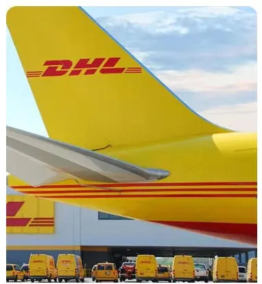 Best Price Arabica Green Coffee Beans High Quality Supplier From Yunnan