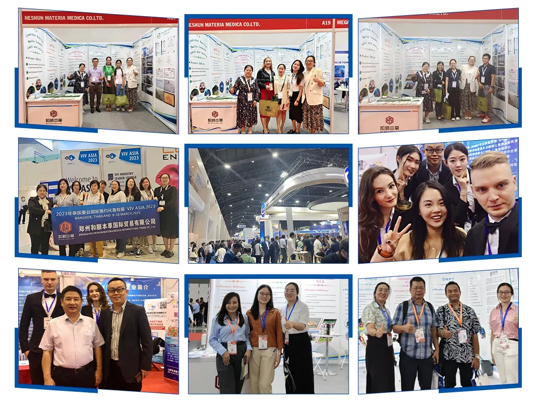 Shrimp Feed Additives CAS 81-25-4 High Quality Deoxycholic Acid 95% Bile Acid