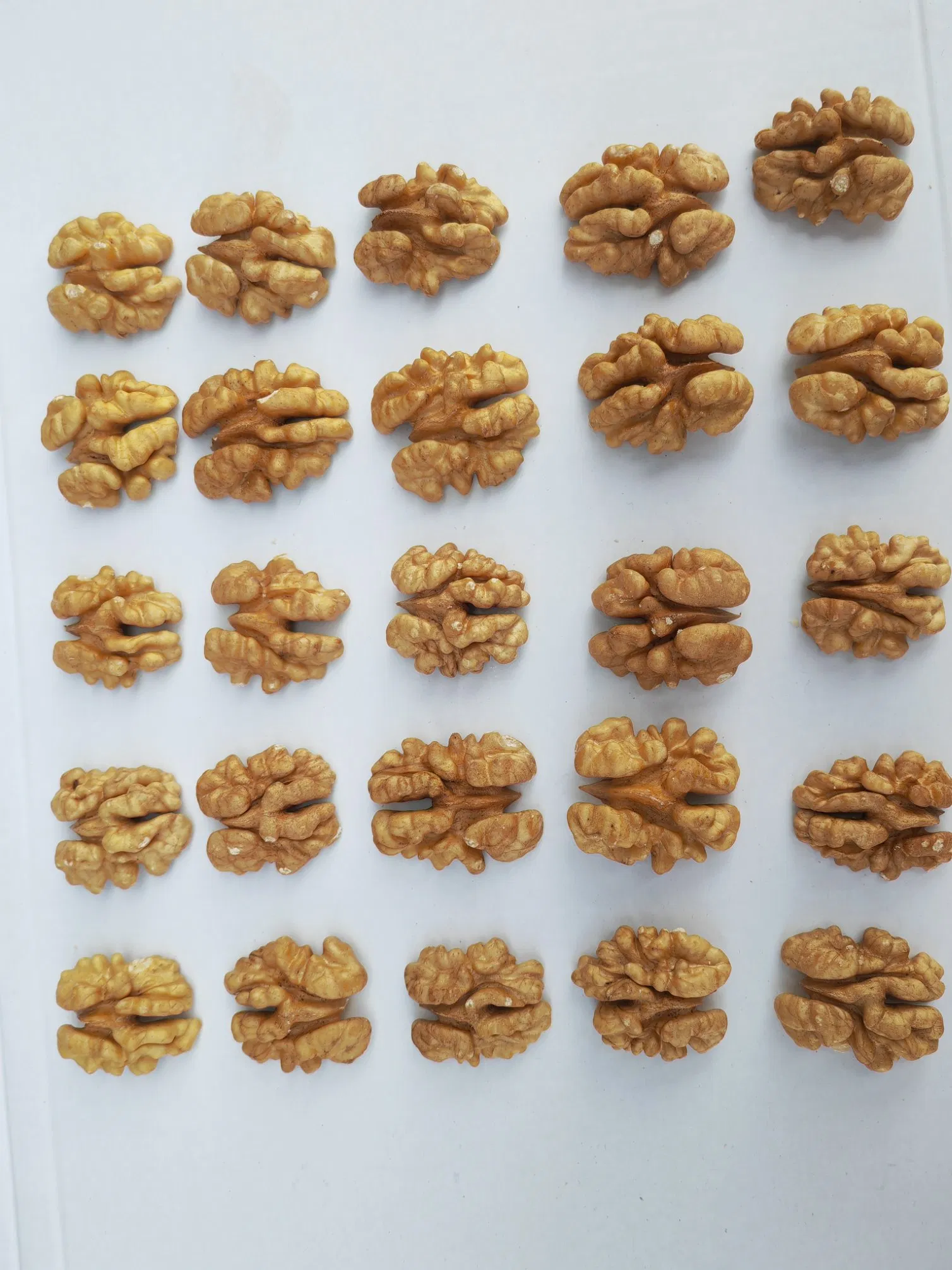 Plump Whole Direct-Supply Healthy Walnuts Xinfeng Walnut Kernels