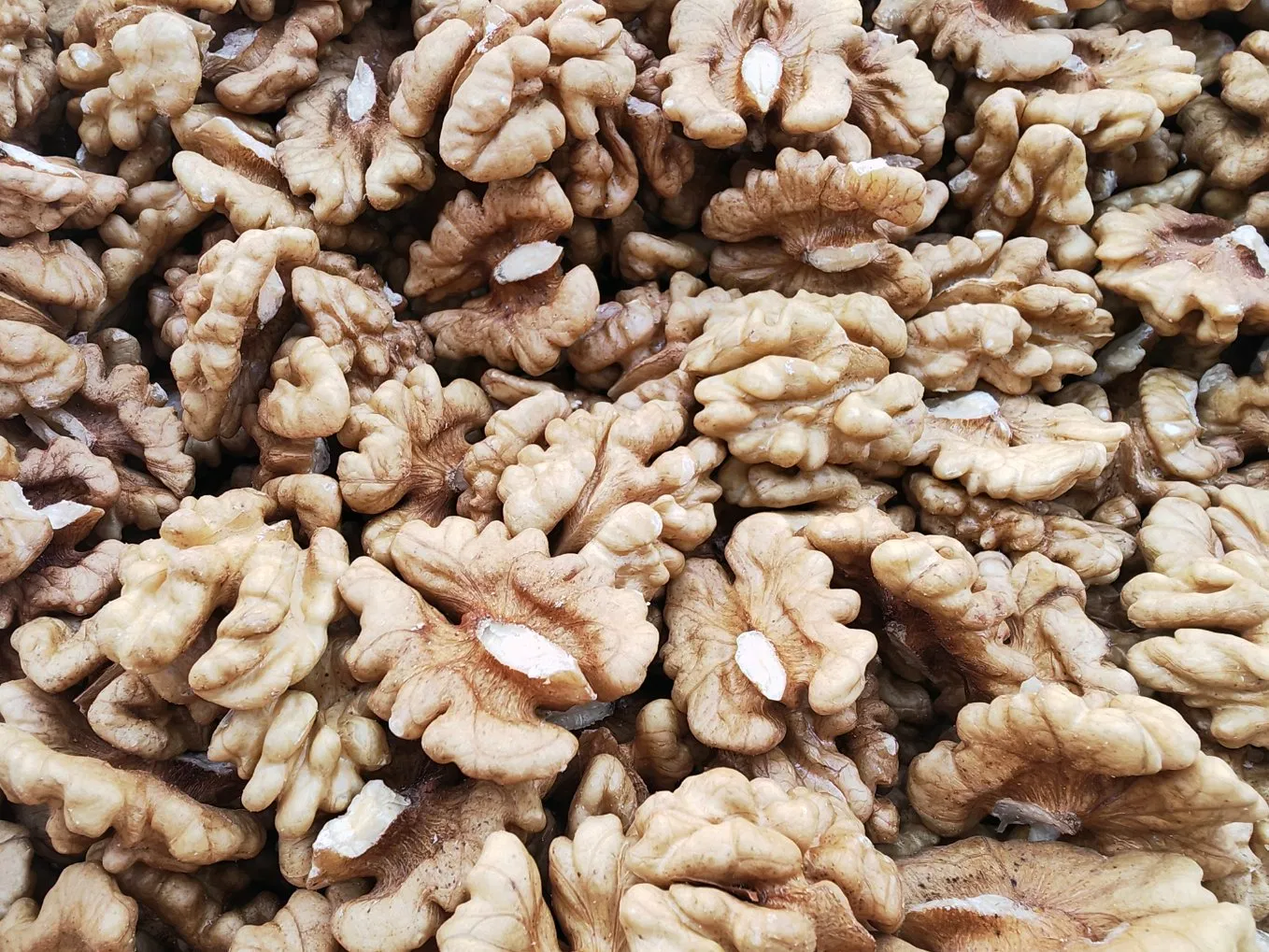 Plump Whole Direct-Supply Healthy Walnuts Xinfeng Walnut Kernels
