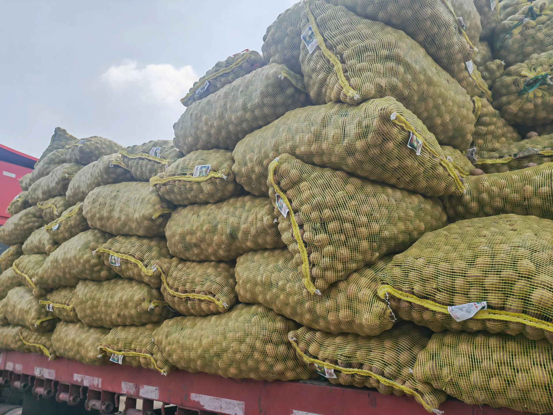 Plump Whole Direct-Supply Healthy Walnuts Xinfeng Walnut Kernels