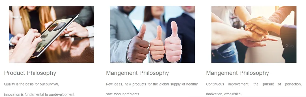 High Quality Vegetable Fat Powder for Bakery and Ice Cream