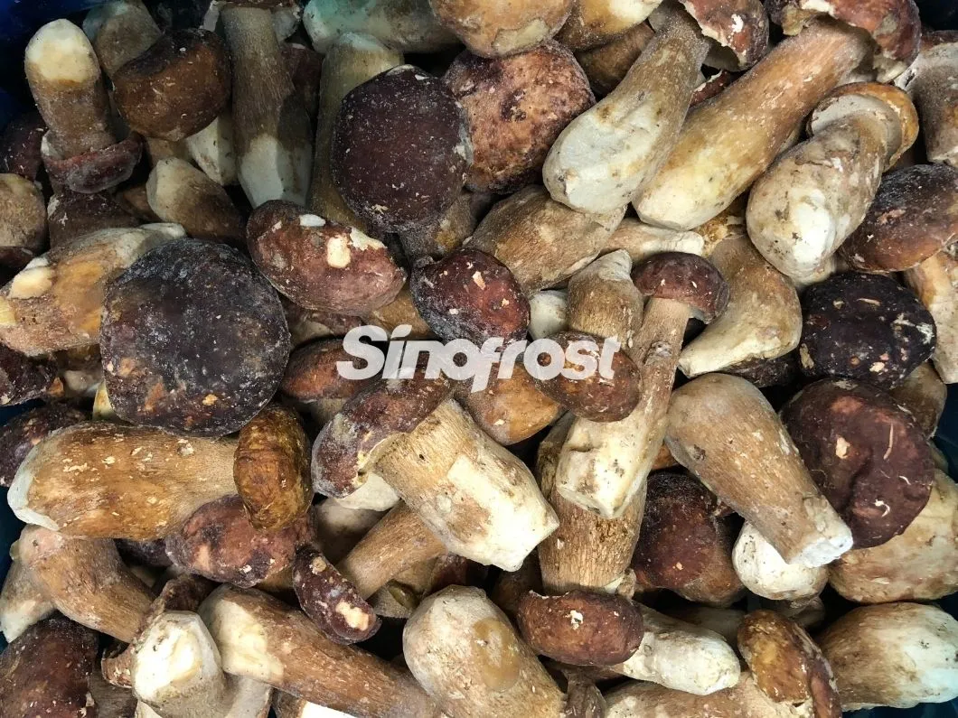 Professional IQF Mushrooms Manufacturer: Supplier of High-Quality IQF Boletus Edulis Wholes for Bulk Orders