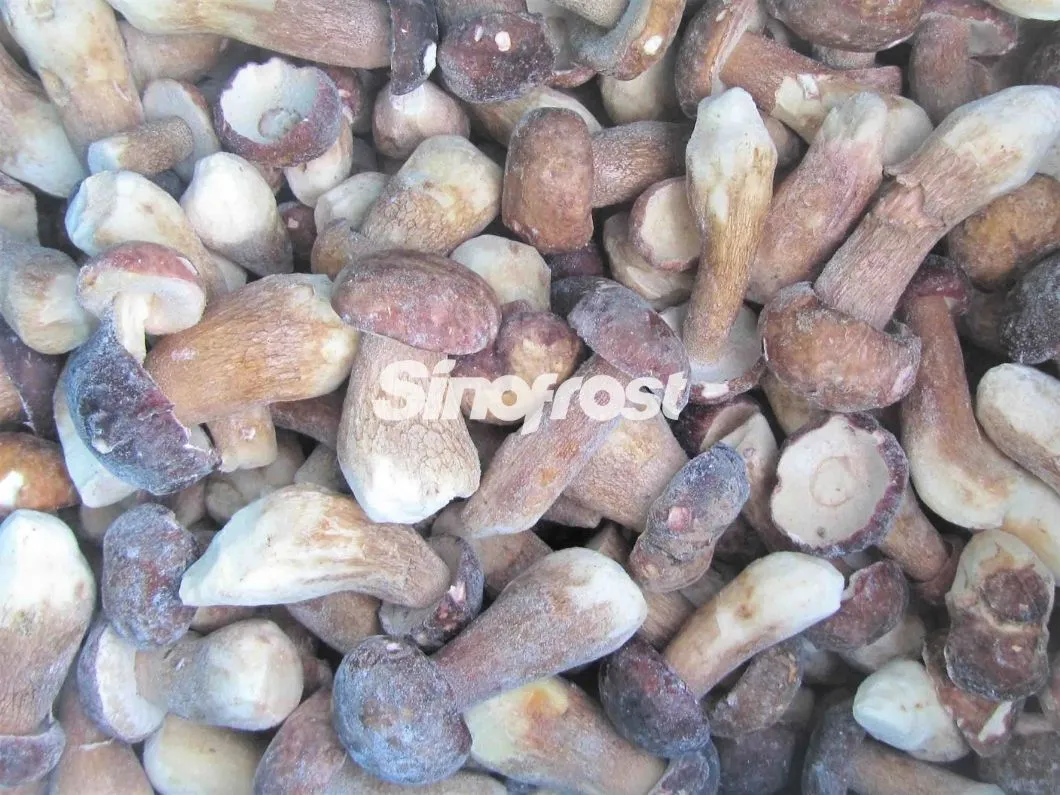 Professional IQF Mushrooms Manufacturer: Supplier of High-Quality IQF Boletus Edulis Wholes for Bulk Orders