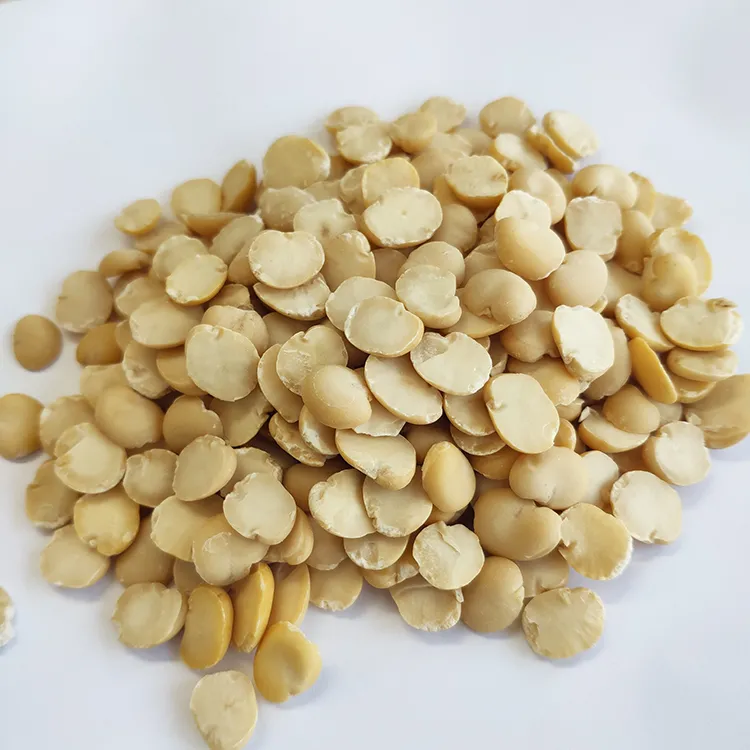 Peeled Split Broad Beans Peeled by Machine Wholesale