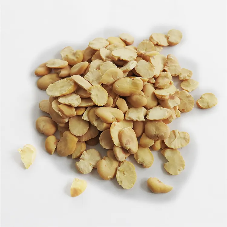 Peeled Split Broad Beans Peeled by Machine Wholesale