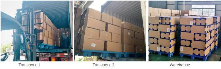 Freeze Dried Strawberry Powder Strawberry Dices