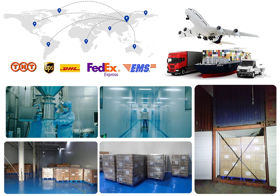 Top Quality Food Grade Hydrolyzed Bovine Collagen Powder Rock Bottom Price