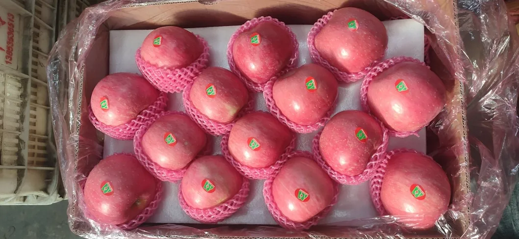 Chinese Best Hot Sale Good Quality Certificated High Quality Fresh Apple From China