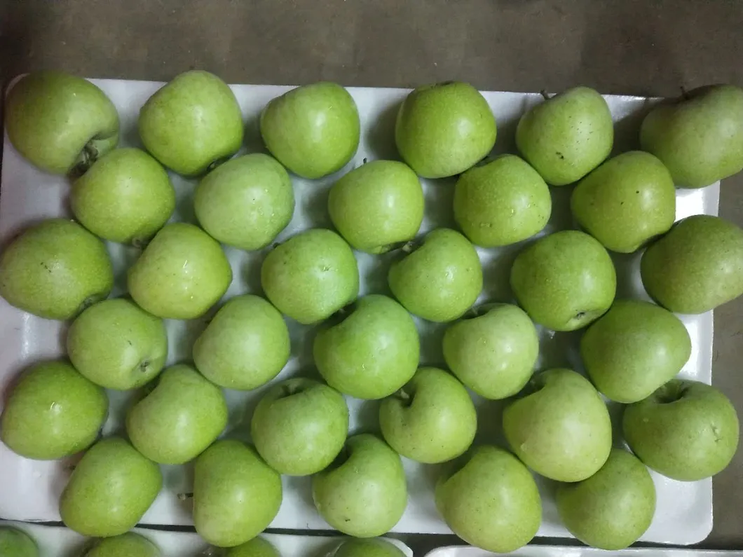 Chinese Best Hot Sale Good Quality Certificated High Quality Fresh Apple From China