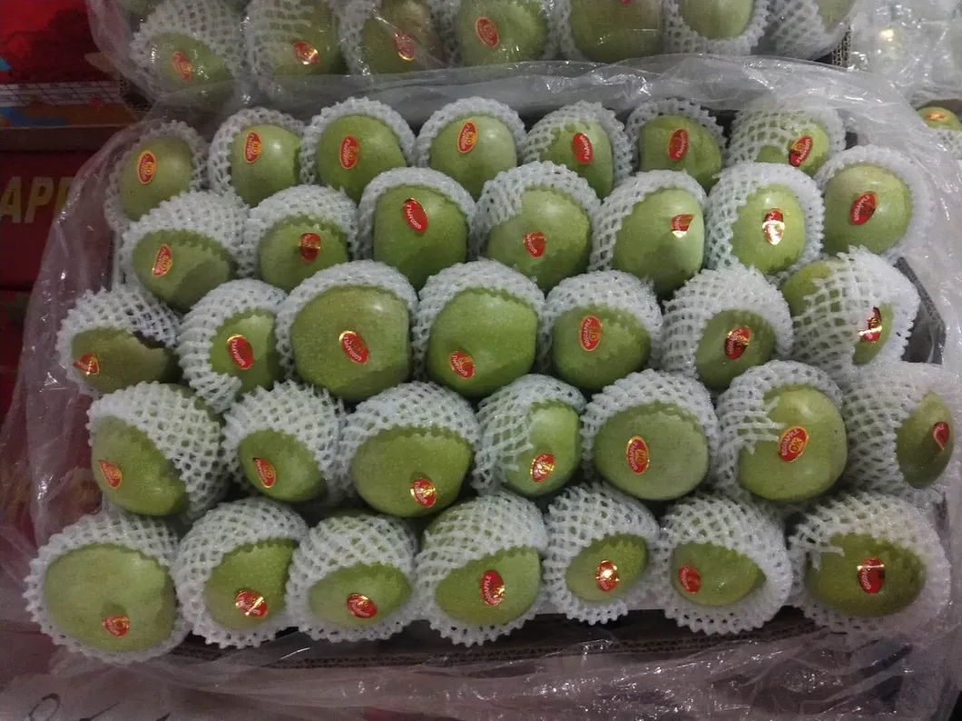 Chinese Best Hot Sale Good Quality Certificated High Quality Fresh Apple From China