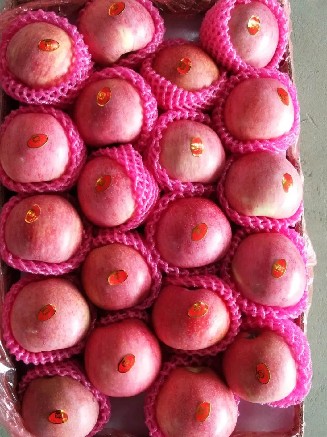 Chinese Best Hot Sale Good Quality Certificated High Quality Fresh Apple From China