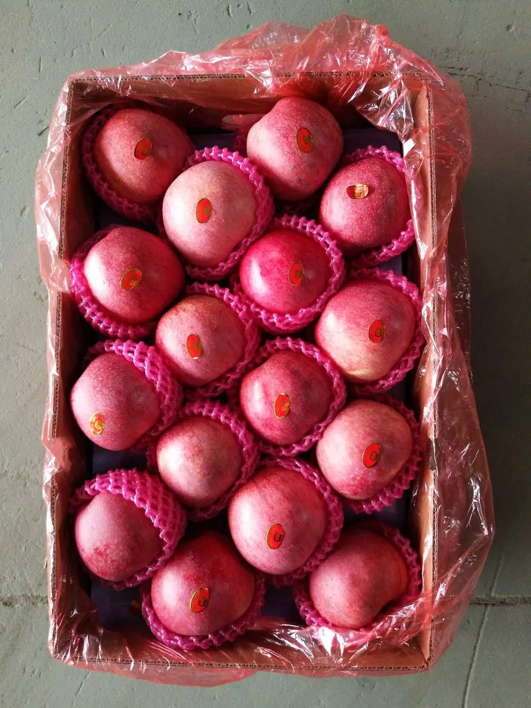 Chinese Best Hot Sale Good Quality Certificated High Quality Fresh Apple From China