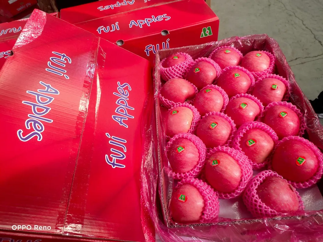 Chinese Best Hot Sale Good Quality Certificated High Quality Fresh Apple From China