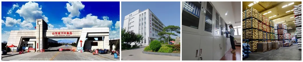 Chinese Best Hot Sale Good Quality Certificated High Quality Fresh Apple From China