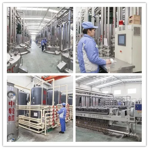 Best Sell Organic Non GMO Food Ingredient Fructo-Oligosaccharide Fos Powder and Syrup