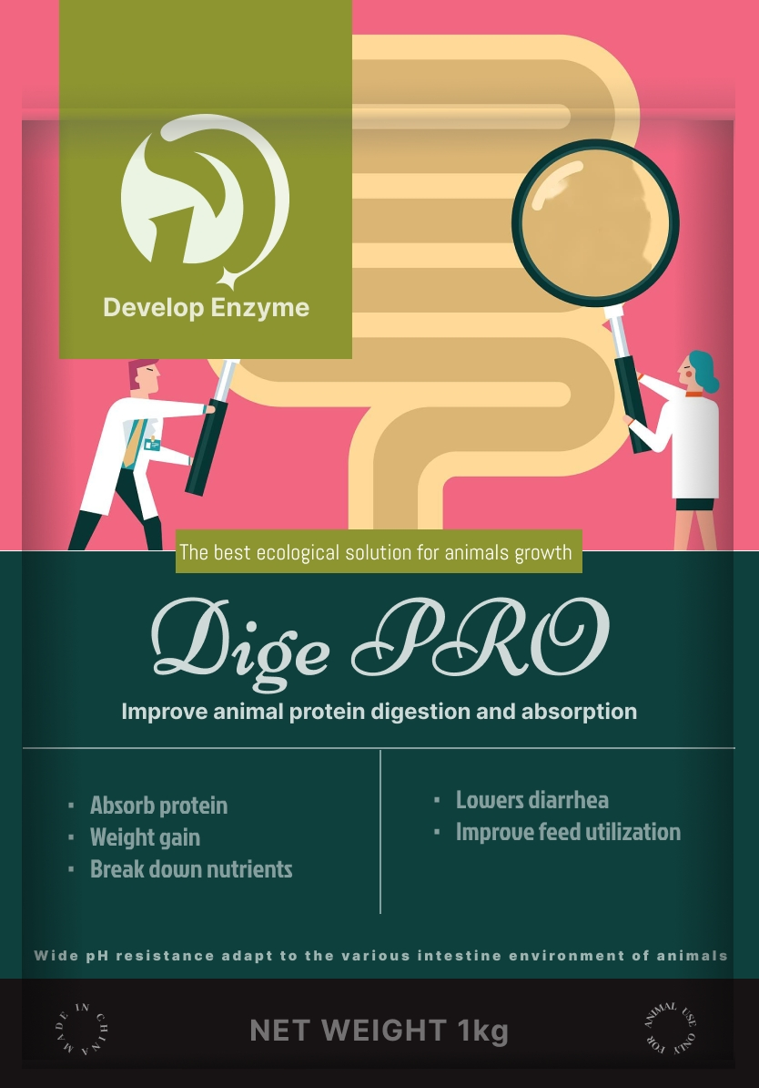 Factory Supply Livestock Poultry Feed Additive Thermostable Protease Powder Granule Enzyme