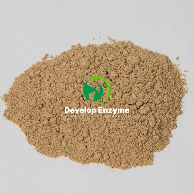 Factory Supply Livestock Poultry Feed Additive Thermostable Protease Powder Granule Enzyme