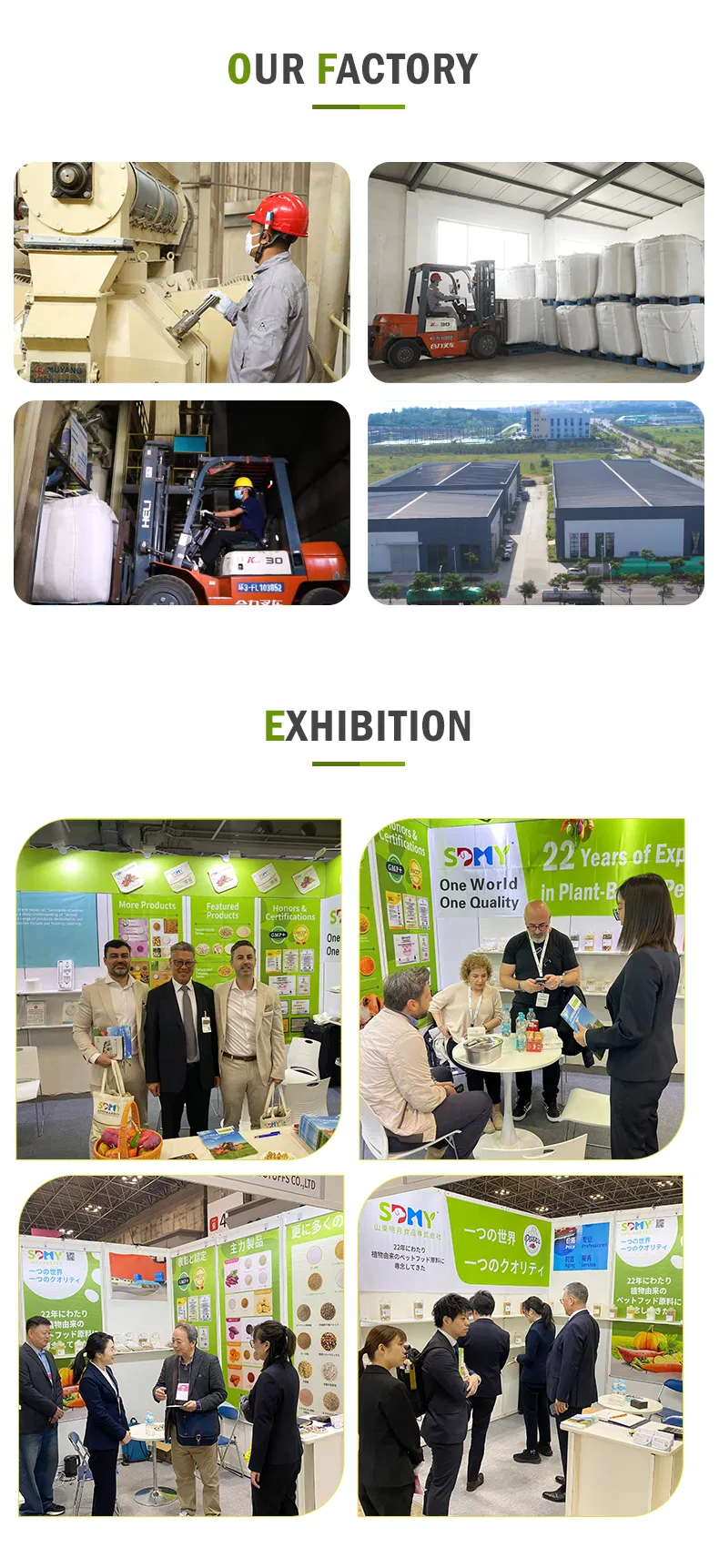 Fruit and Vegetable Powder Dried Purple Sweet Potato Powder Cube Granules