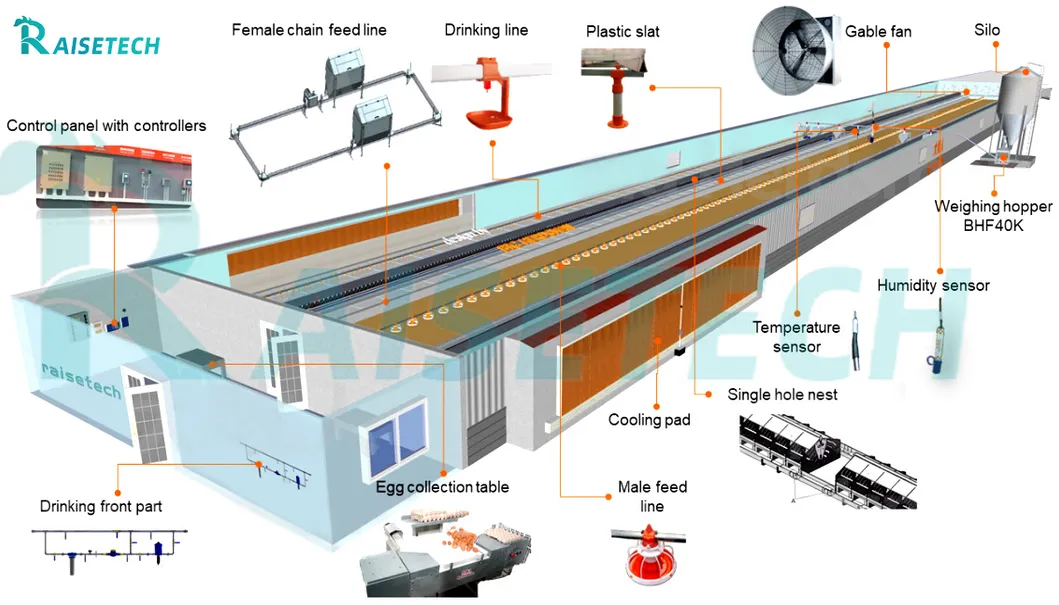 Automatic Chicken Chain Feeding Laying Box Poultry Equipment for Breeder Chicken