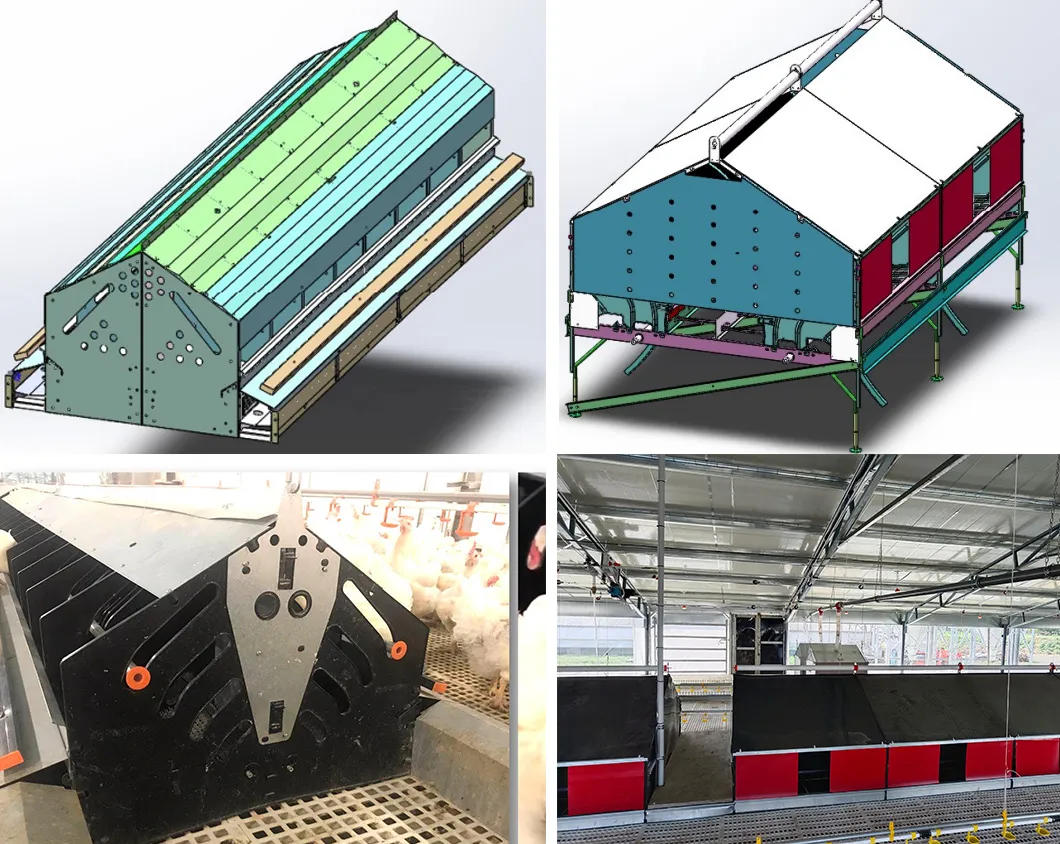 Automatic Chicken Chain Feeding Laying Box Poultry Equipment for Breeder Chicken