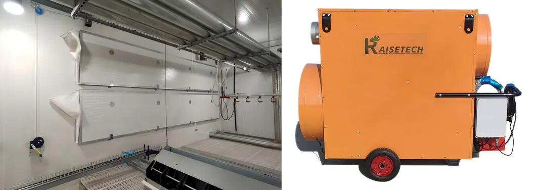 Automatic Chicken Chain Feeding Laying Box Poultry Equipment for Breeder Chicken