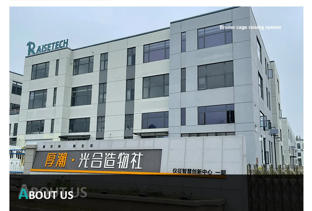 Automatic Chicken Chain Feeding Laying Box Poultry Equipment for Breeder Chicken