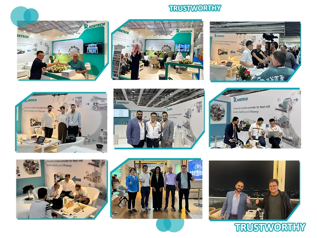 Automatic Chicken Chain Feeding Laying Box Poultry Equipment for Breeder Chicken