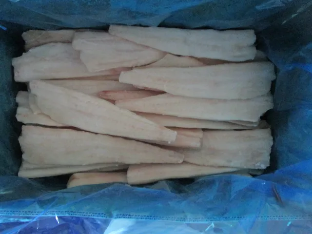 Frozen Alaska Pollock Fillet, Skin on/Skin off