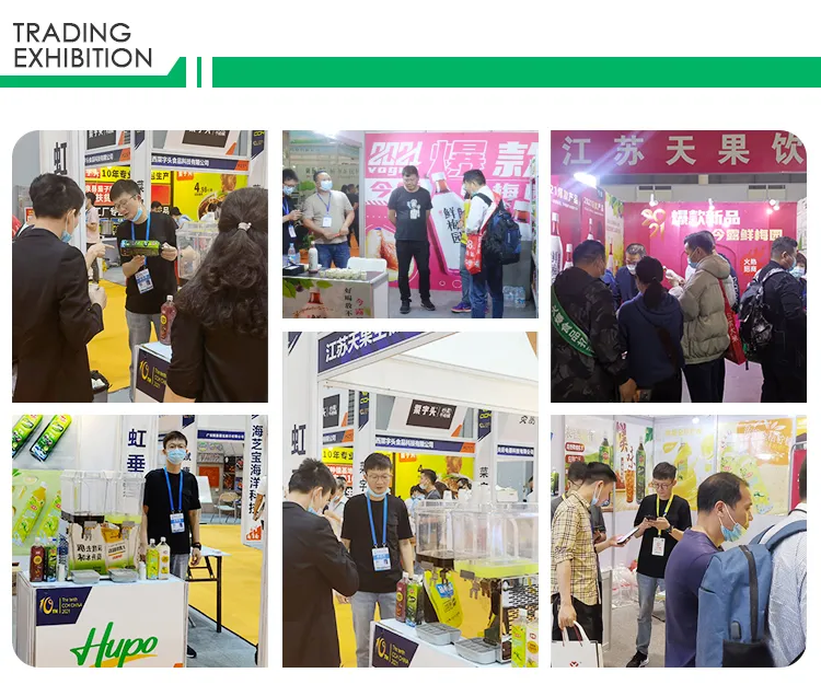 Hupo Brand Aloe Vera Drinks with Flavored Vegetable Juice