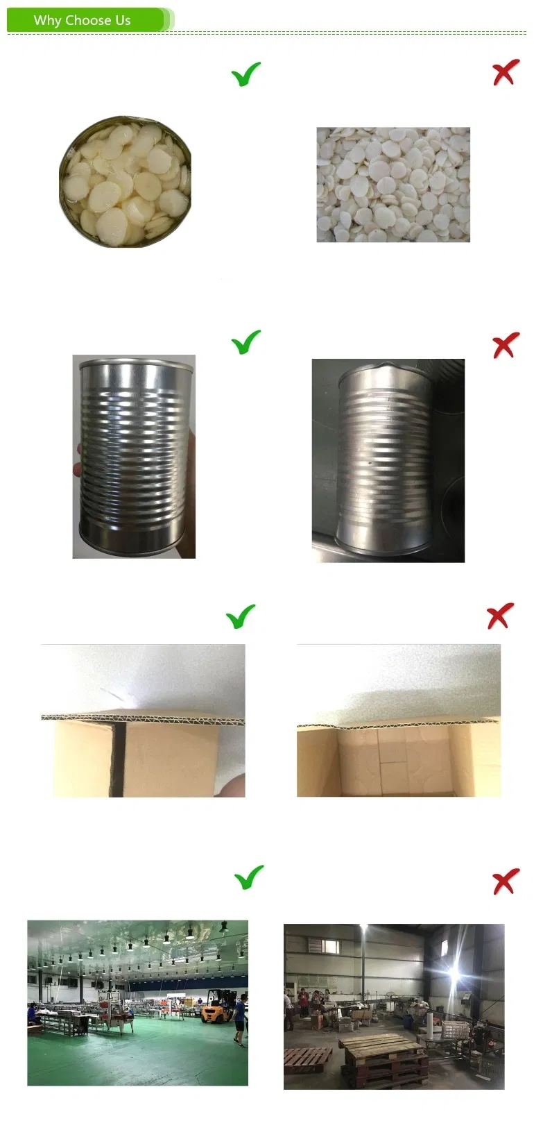 Best Flavor Baked Bean in Tomato Sauce Packed in Tin