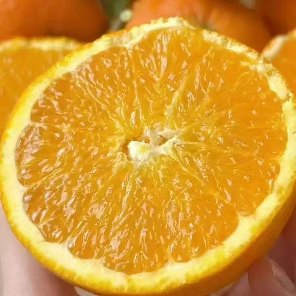 High Quality Fresh Fruits Fresh Oranges Summer Oranges From China